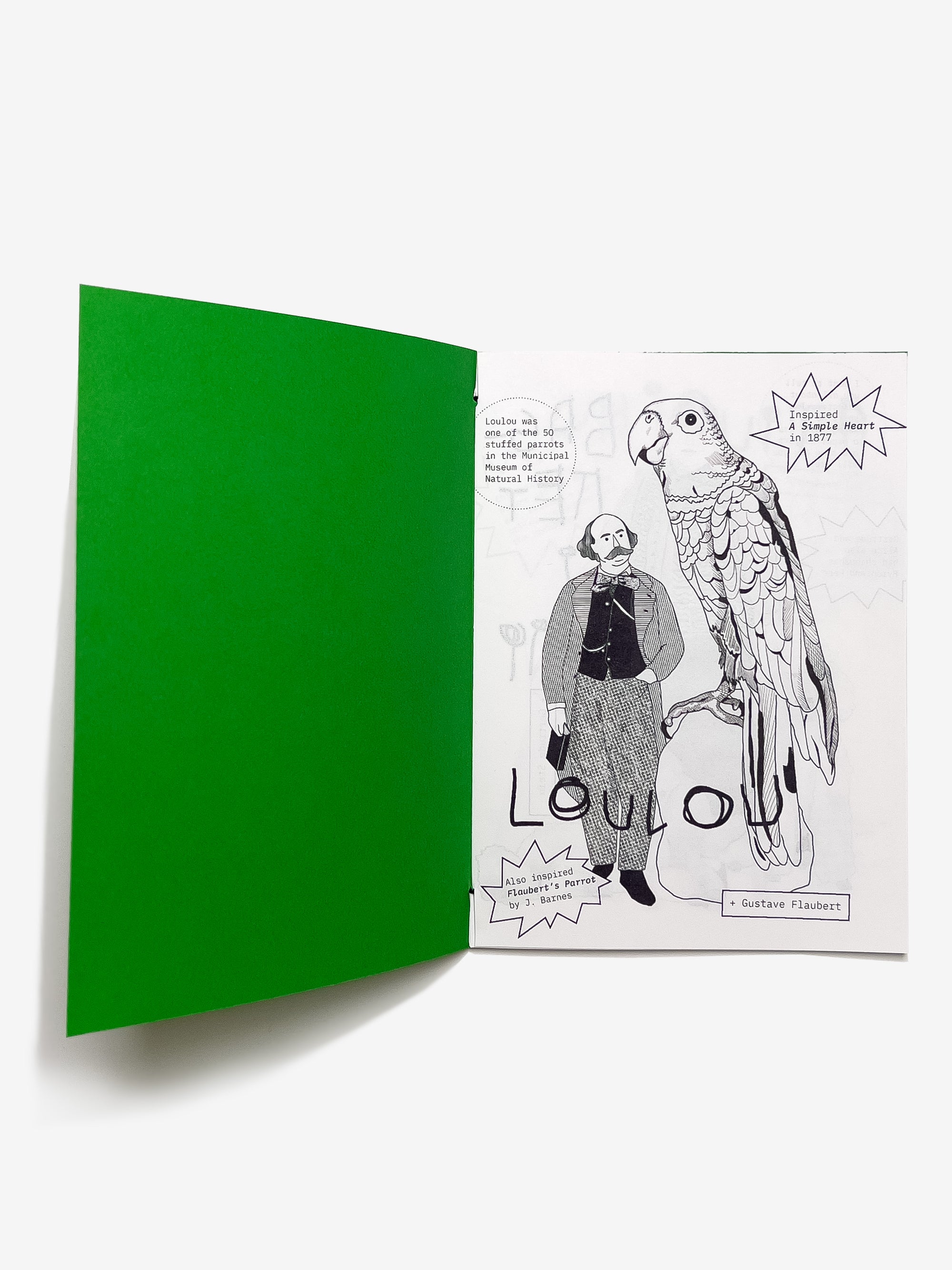 Open Flaubert Had a Parrot zine with a green cover and a page featuring a black and white illustration of Gustave Flaubert  looking up at LouLou the parrot, with text.