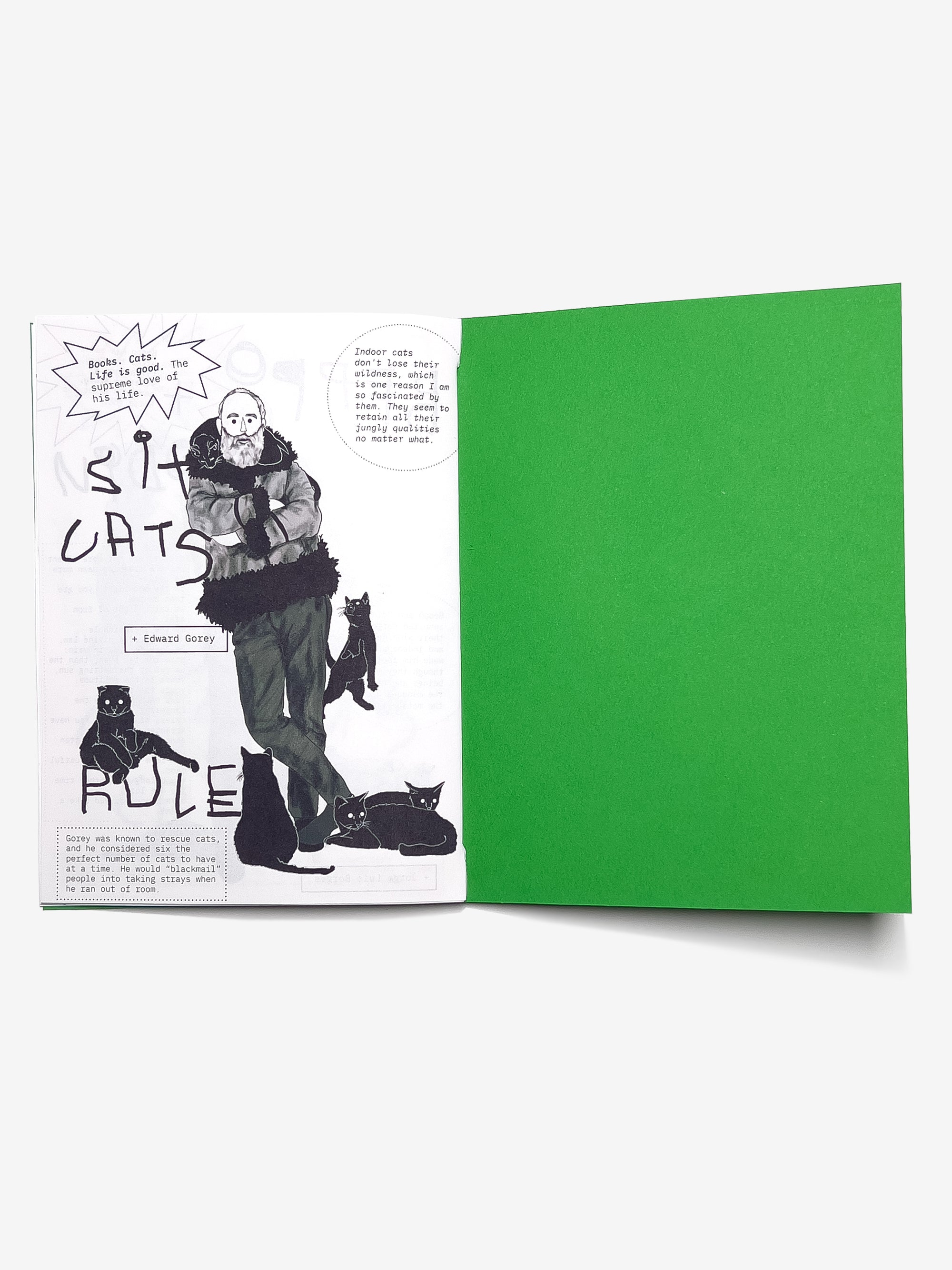 Zine book called Flaubert Had a Parrot open to a page with an illustration of Edward Gorey and six cats and text with a green back cover.
