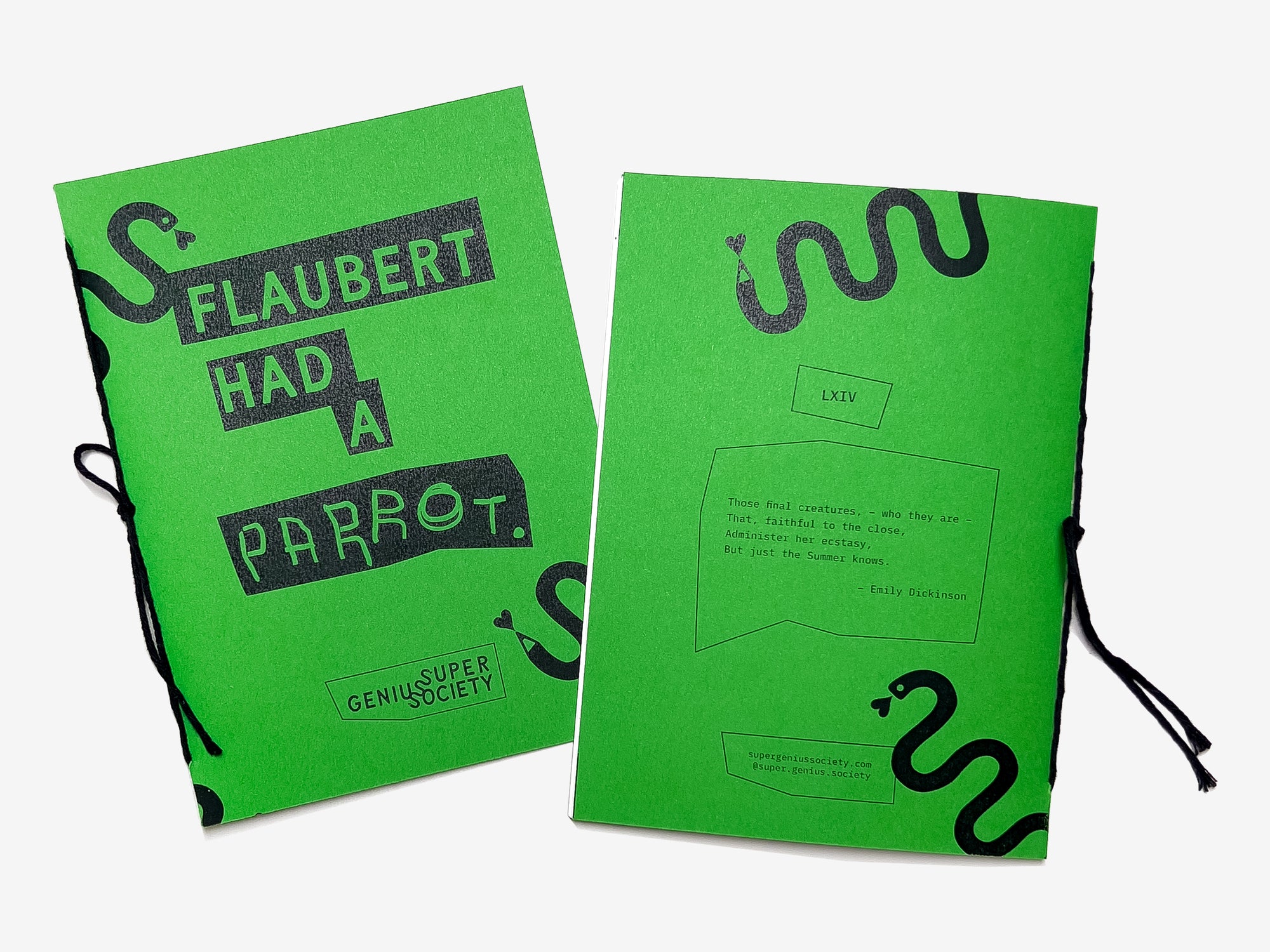 Two green bound Flaubert Had a Parrot zine with black graphic and the title and snake illustrations on a white background