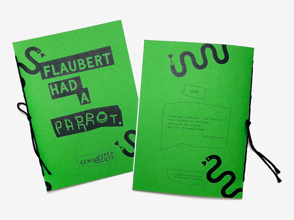 Two green bound Flaubert Had a Parrot zine with black graphic and the title and snake illustrations on a white background