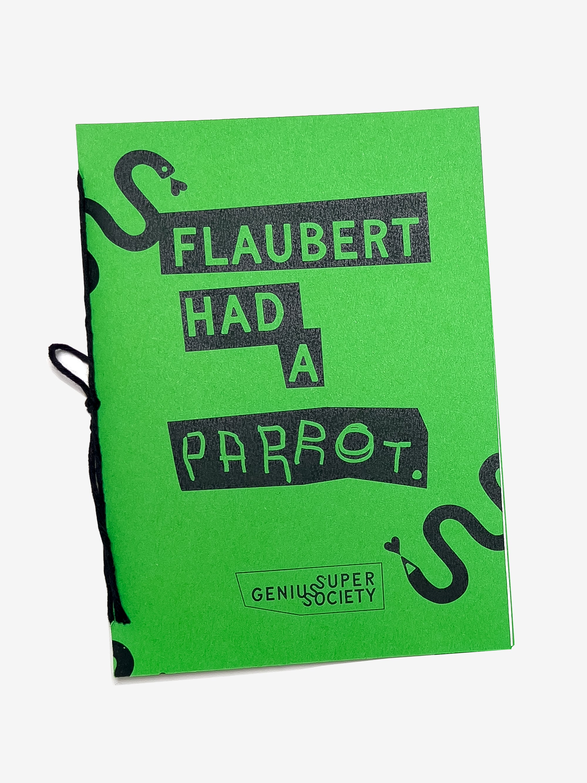 Zine Flaubert Had a Parrot with a green cover with black graphic text and design on a white background