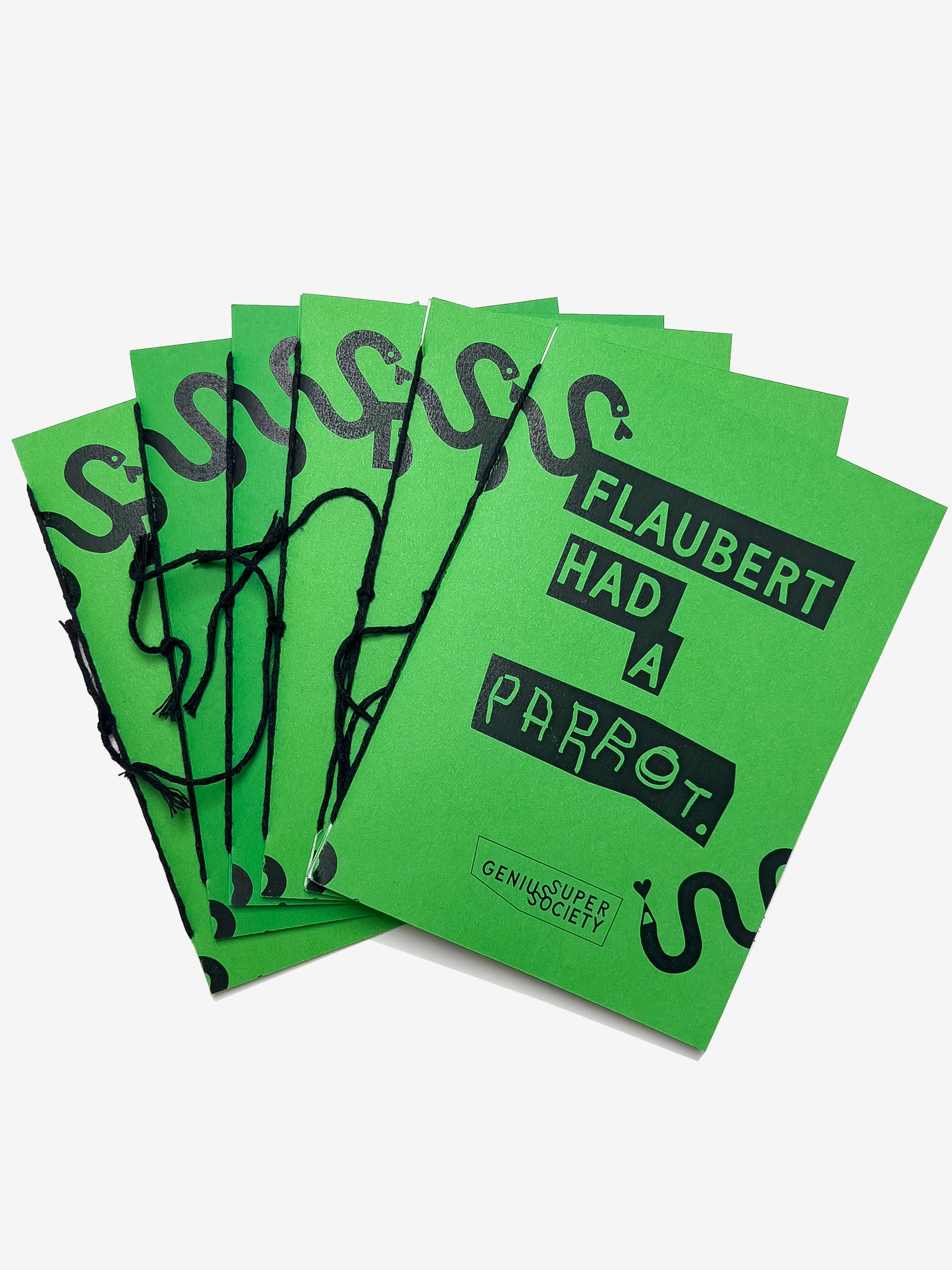 Flaubert Had a Parrot Zine