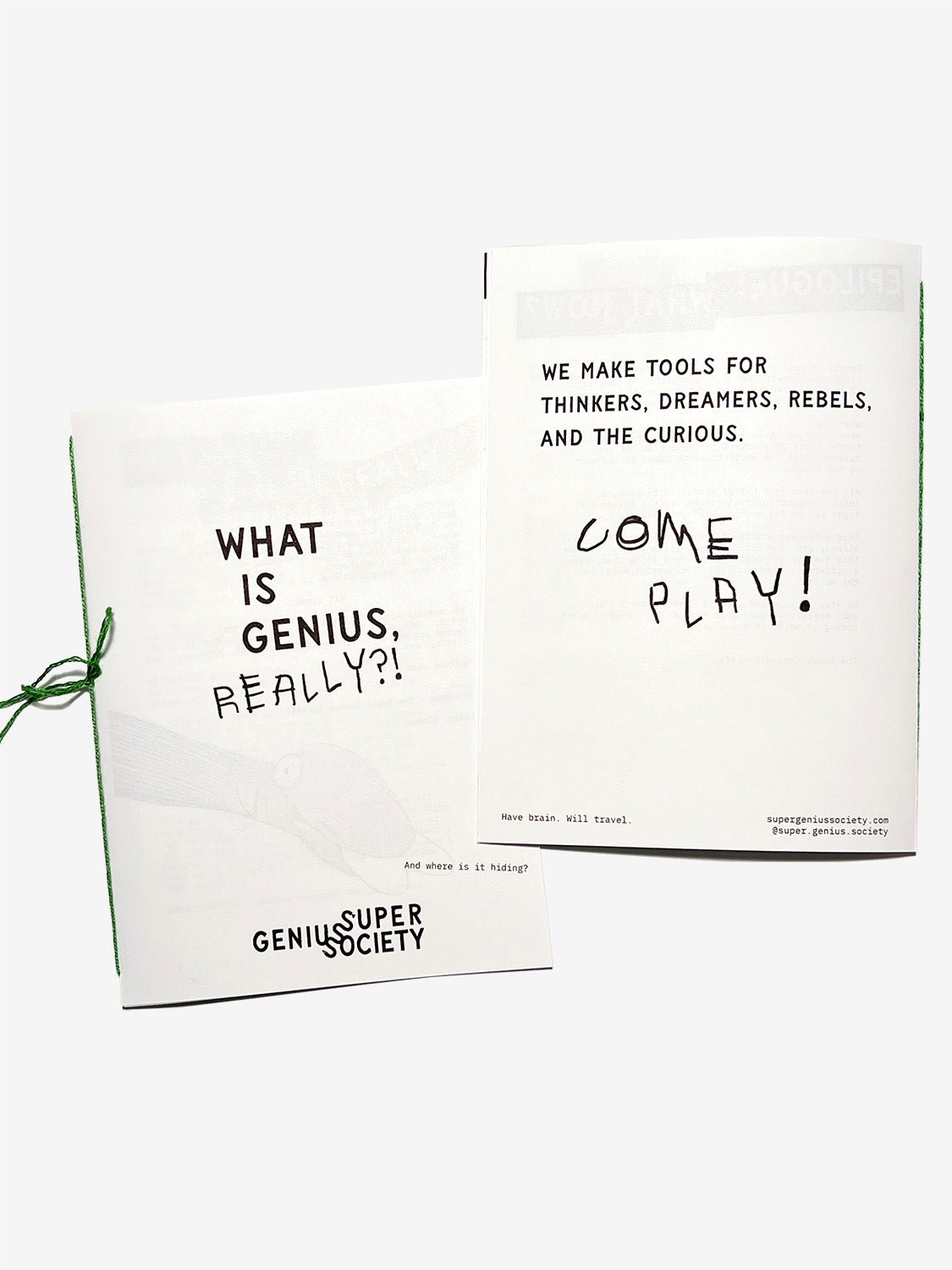 What is Genius, Really?! Zine
