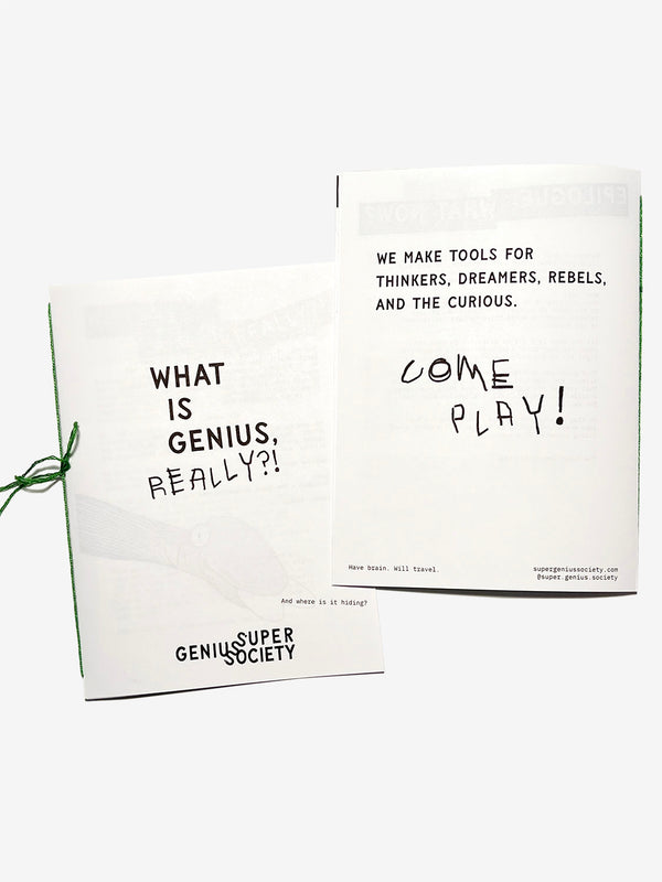 What is Genius, Really?! Zine