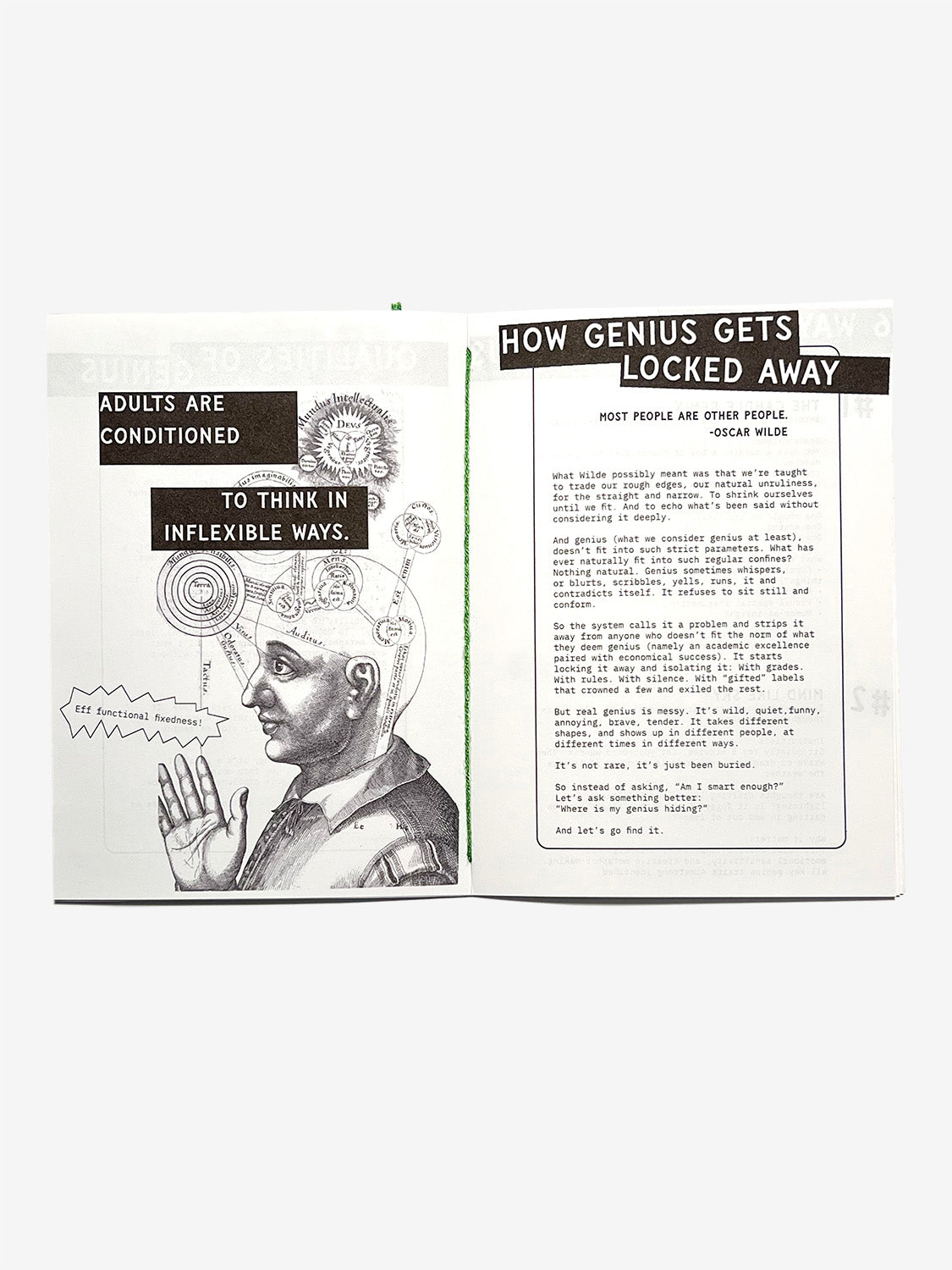 What is Genius, Really?! Zine