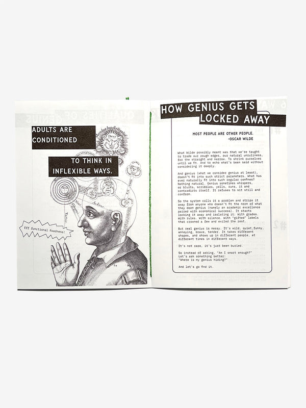 What is Genius, Really?! Zine