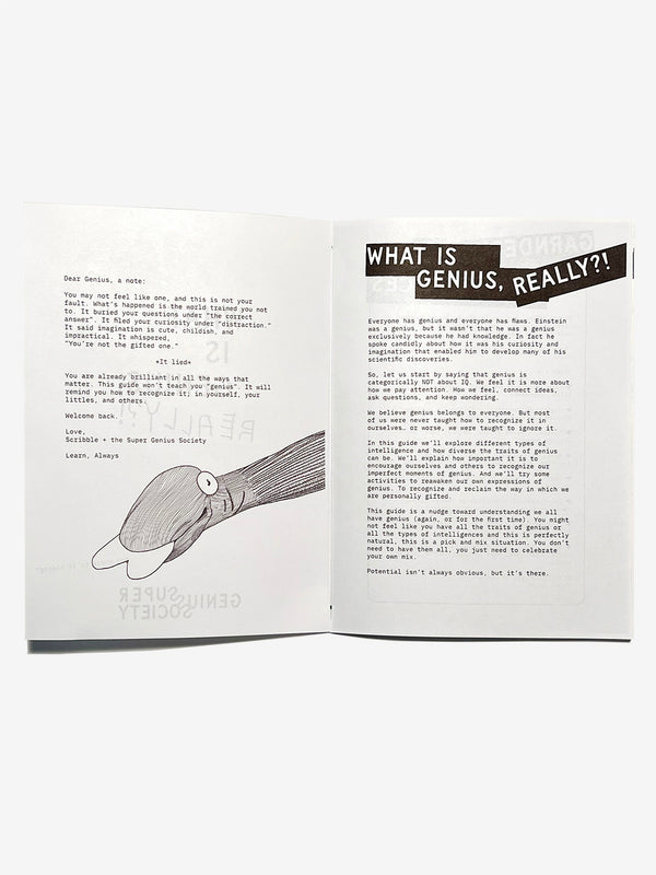 What is Genius, Really?! Zine