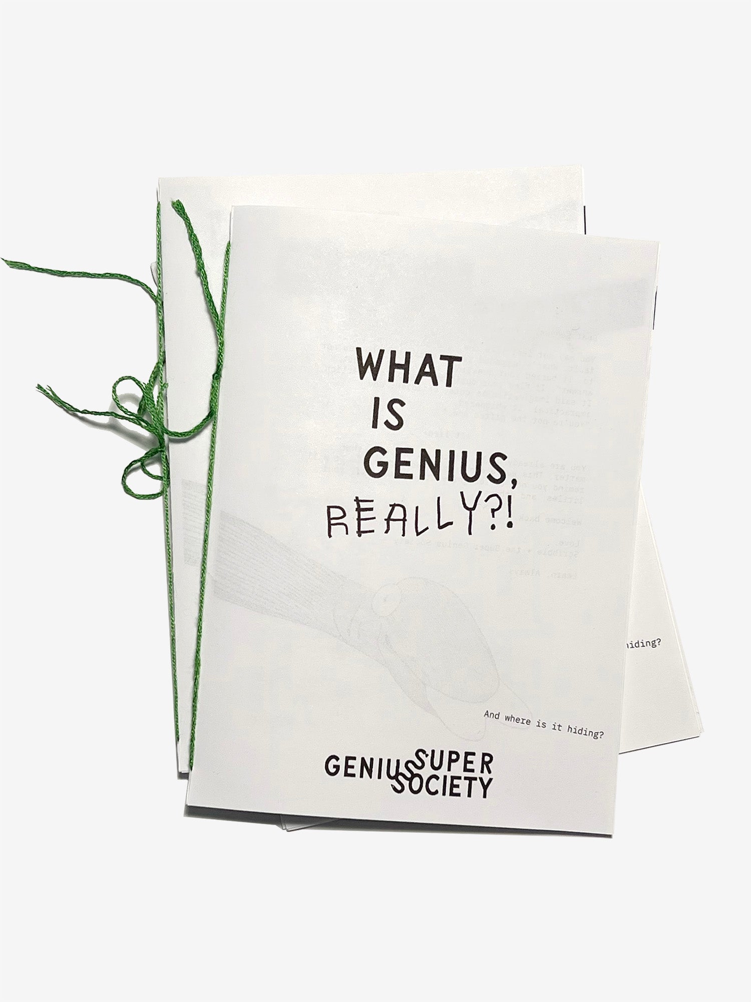 What is Genius, Really?! Zine