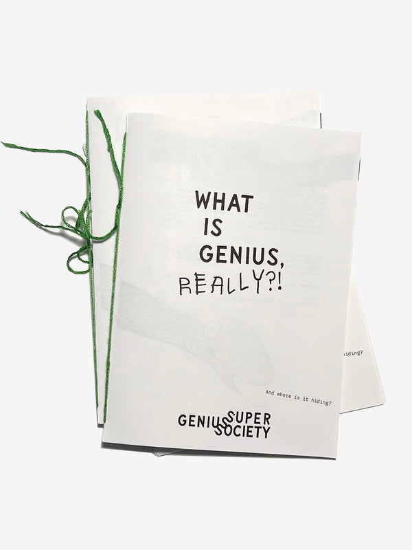 What is Genius, Really?! Zine