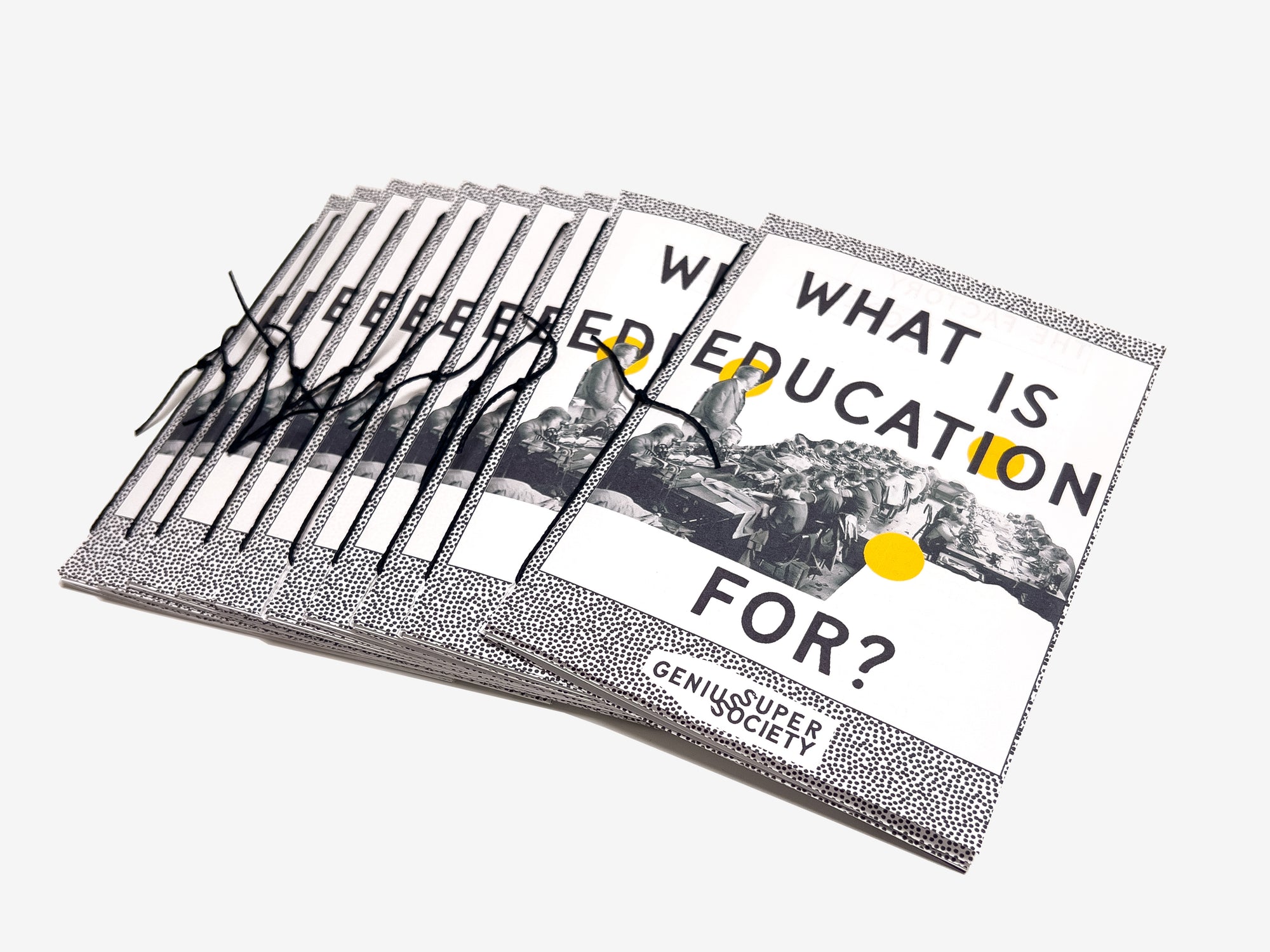 Stack of fanned out books titled 'What is Education For?' by Super Genius Society on a white background